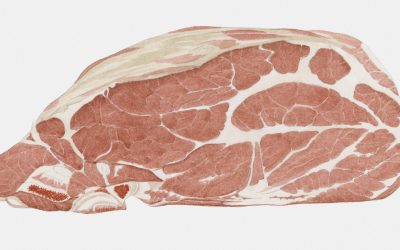 Trichinellózissal fertőzött húst árultak Pancsován