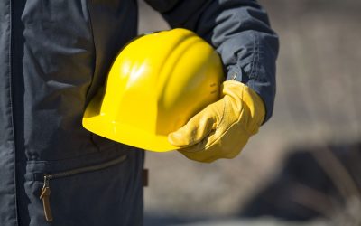 Tavaly 2,36 millió polgárnak volt munkája