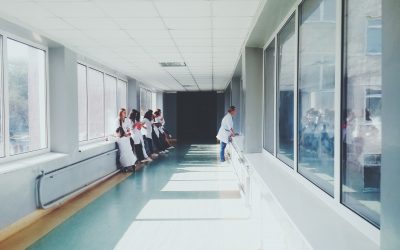 Vajdaságban már negyvenen betegedtek meg nyugat-nílusi lázban