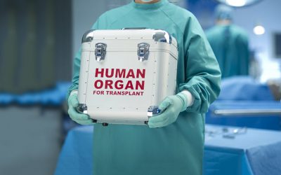 Kétezren várnak szervátültetésre, a legtöbbnek vesére van szüksége