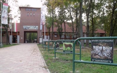 Esti állatkerti túrát szervez a szegedi Vadaspark