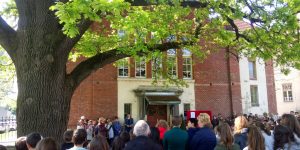 A kaposvári Szabadságfa (Fotó: Ökotárs Alapítvány)