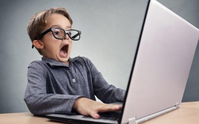 Hatéves és tízéves vállalattulajdonosok Újvidéken Hány cég van Szerbiában kiskorúak nevén?