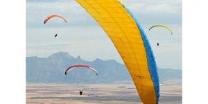 Porterville (Fotó: Szűcs-Gáspár Kinga, SZMSZ fotópályázat, 4. helyezett kép)