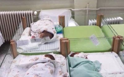 Nemcsak Vajdaságban, az anyaországban is fogy a magyar