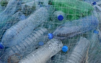 Szerbia évente 100 millió eurót dob ki az ablakon