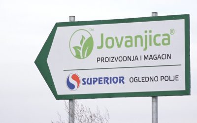 „Egy évvel korábban tudtuk, hogy a Jovanjica birtokon kábítószert találunk, csak azt nem, hogy mennyit”