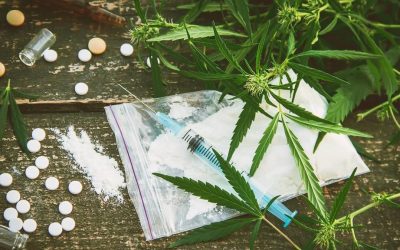 Őrizetbe vettek egy újvidéki drogdílert