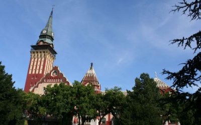 Liga: Bakić és Pásztor 2043-ban rendezi meg a helyi közösségi választásokat?