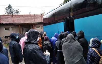 Százhúsz migránst szállítottak befogadó központba Nyugat Bácskában