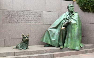 Börtönbe mehet, aki kidobja házikedvencét