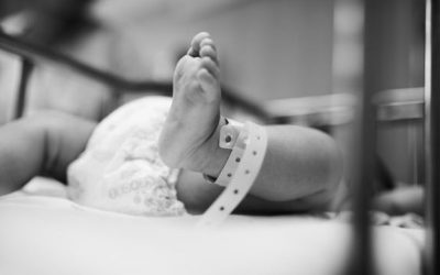 24 óra alatt 24 baba született Újvidéken