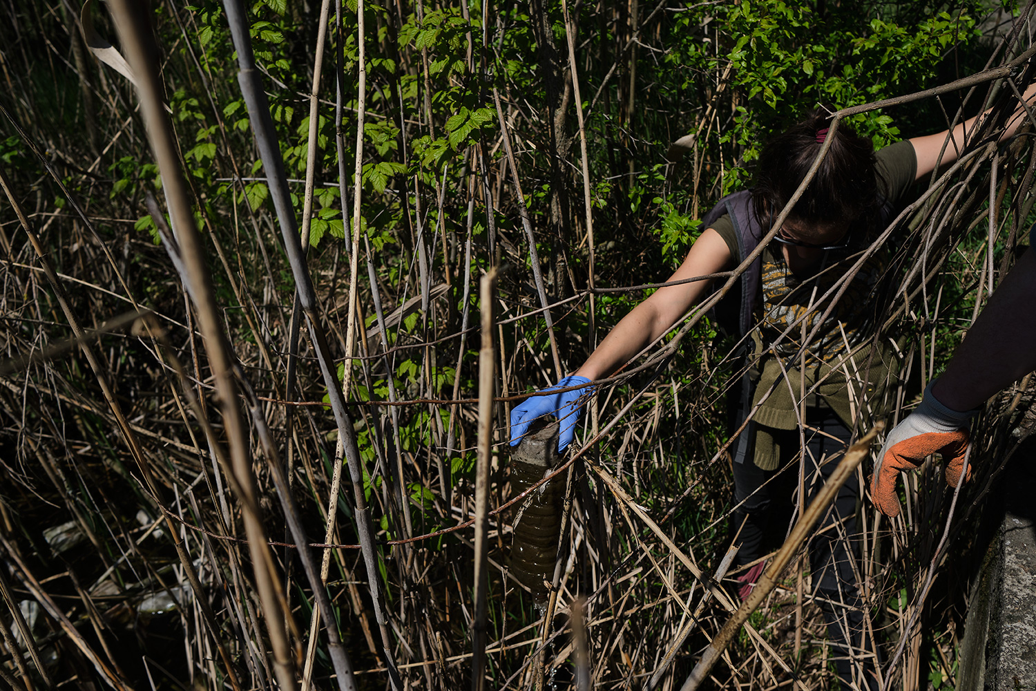 (Fotó: Mina Delić)