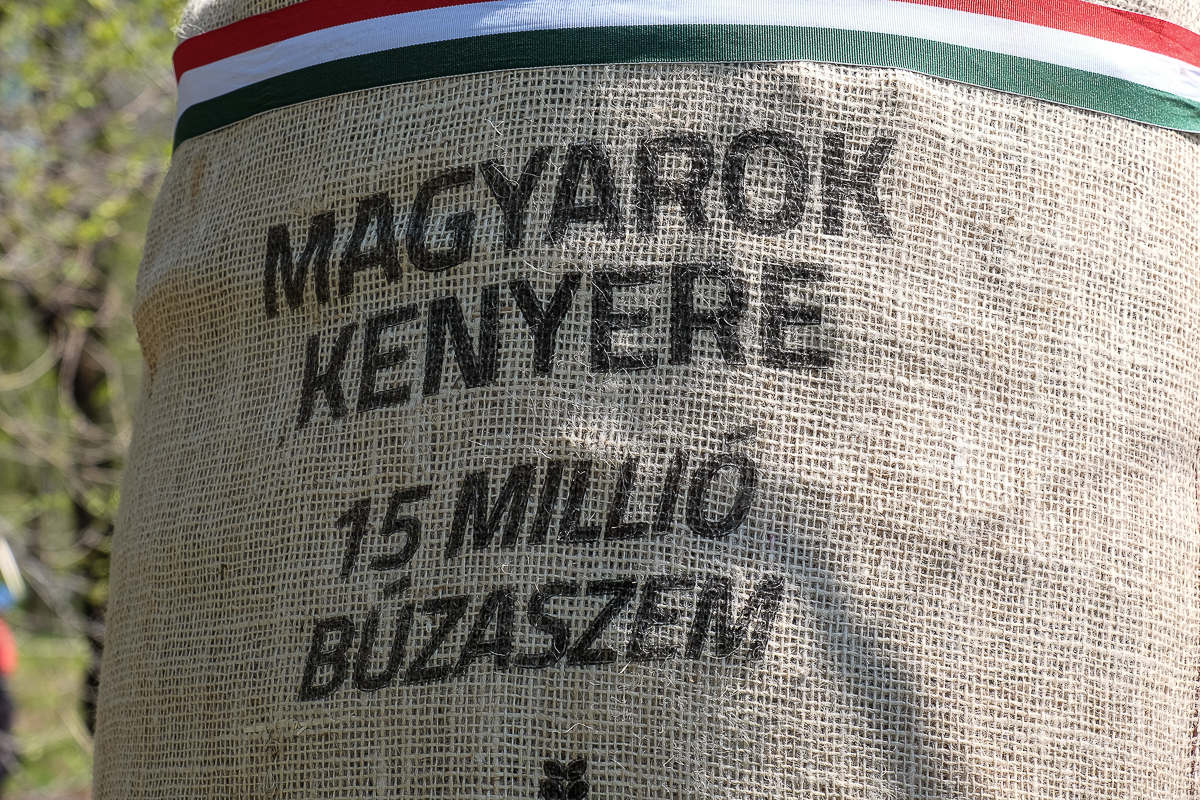 A Magyarok Kenyere - 15 millió búzaszem (Fotó: Révész Róbert)