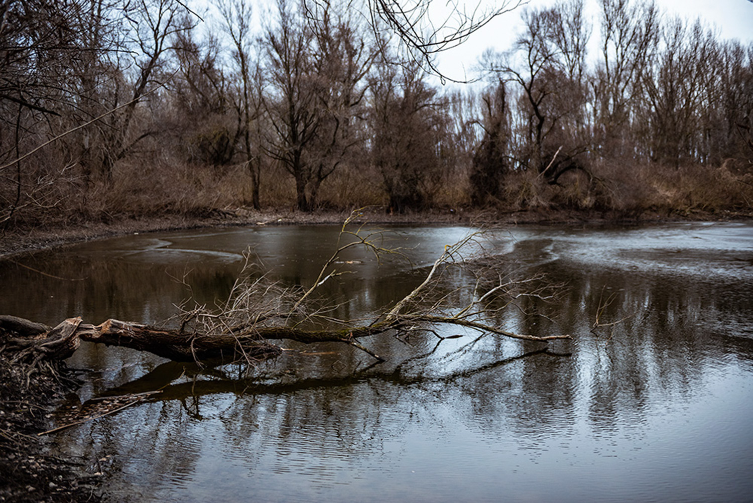 A természetes élőhely maradványa a Felső-Tisza-vidéken (Fotó: Mina Delić)