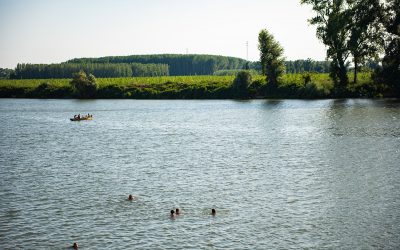 Szerbiai is a zöld átállás útján