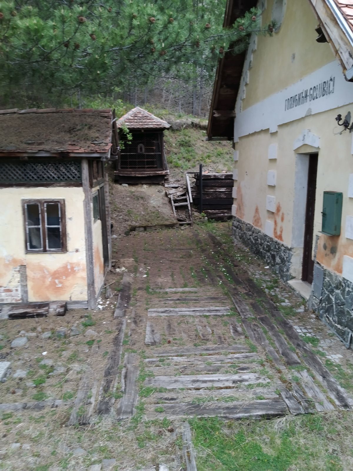 Šargani nyolcas Fotó: Tómó Margaréta/SZMSZ