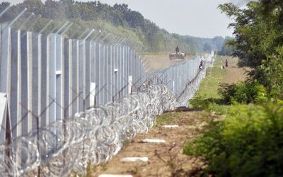 Az Európa Tanács a kitoloncolások megszüntetésére szólította fel Magyarországot