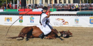 Csikósbemutató (Fotó: Szappanos Veronika/SZMSZ)