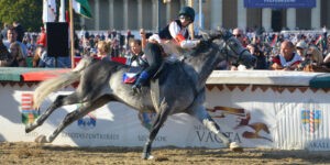 Idén cseh győzelem volt a nemzetközi vágtában
