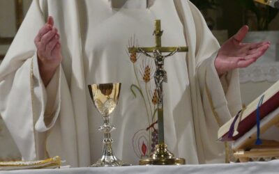 A papok és a politika