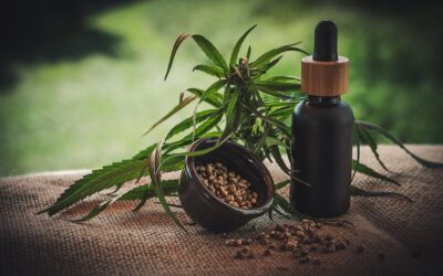 Albániában legalizálták a kannabisz gyógyászati célú termesztését