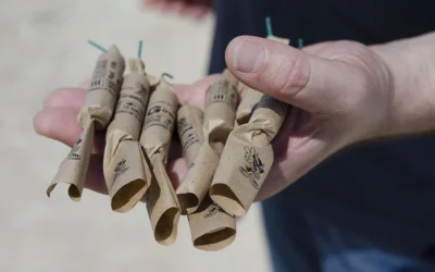 Akár 100 ezer dináros büntetés várhatja azt, aki illegálisan árul petárdát