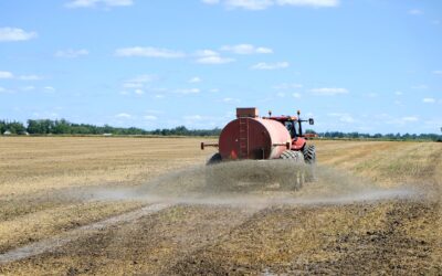 Van elég műtrágya, de egyre többe kerül