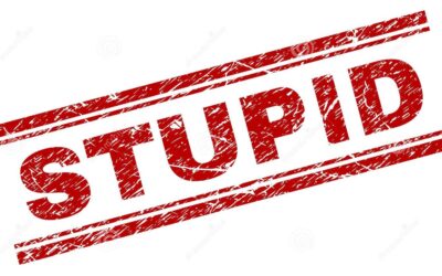 „A maga gyereke hülye”