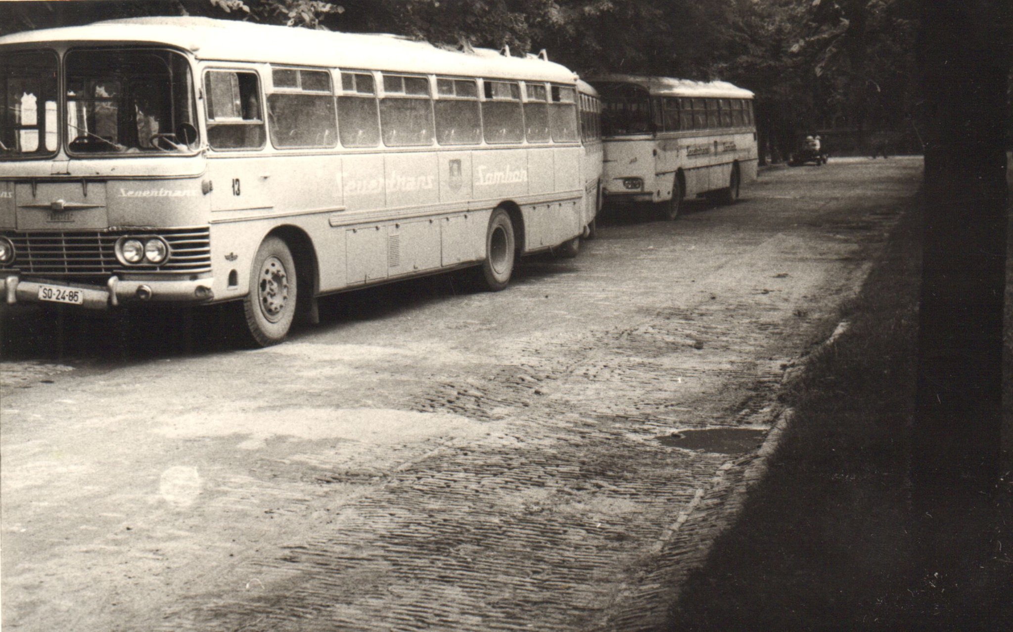 A Severtrans autóbuszai 1969-ben a zentai főtéren