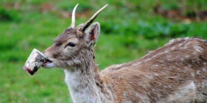 Fél évszázad sem volt elég, hogy leszokjunk a szennyezésről (Fotó: Pixabay)