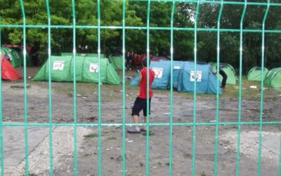 Migrációs útvesztő