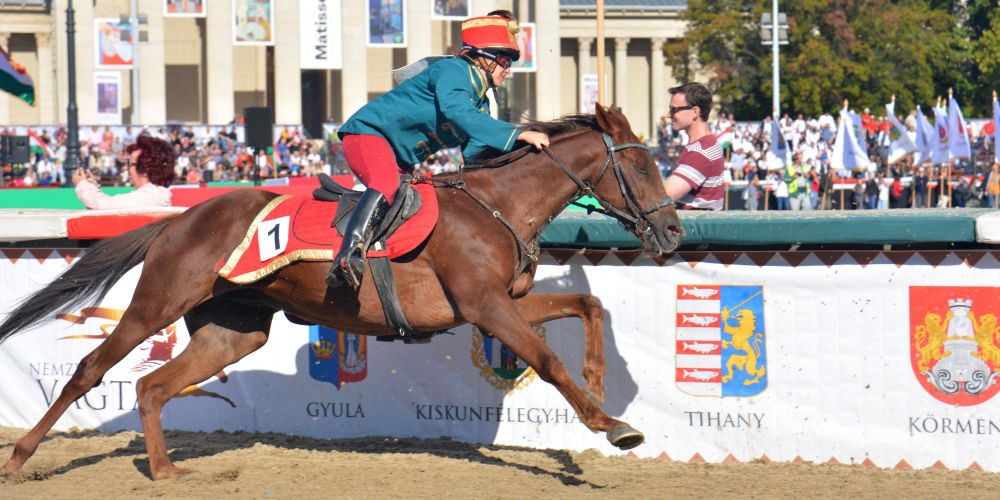 Szabadkának idén nem sikerült a címvédés, így is szép vágtával zárták a középdöntőt