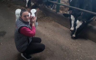 Kinek éri meg ma mezőgazdasággal és állattenyésztéssel foglalkozni?