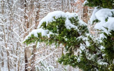 Már novemberben leeshet az első hó