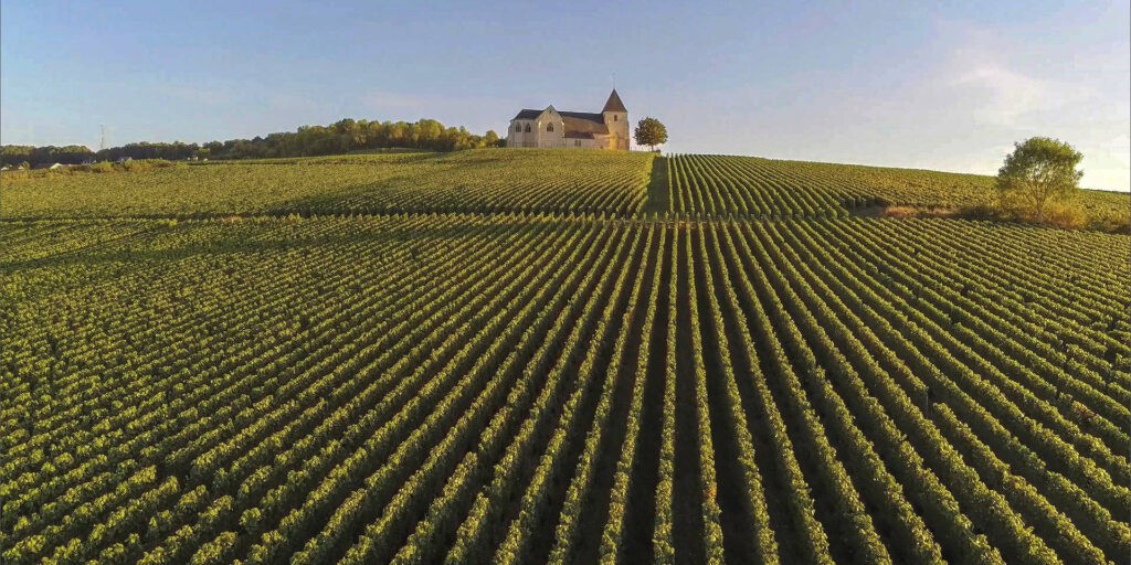 Champagne csak Champagne-ból, a képen a Montagne de Reims termőterület egyik birtoka (Fotó: Pixabay)