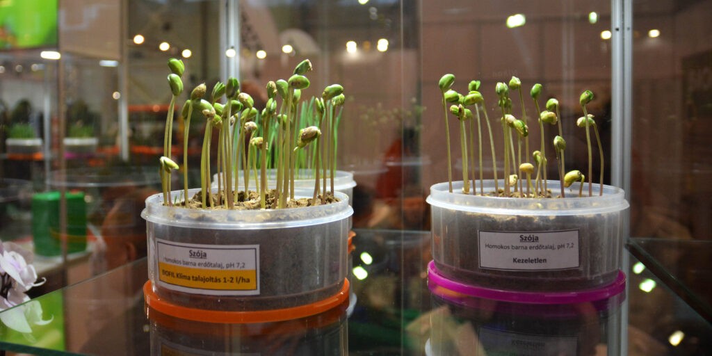 Újdonság ez a talajoltó baktérium készítmény is, a Biofil Klíma javítja talaj vízháztartását, vízmegkötését (Fotó: Szappanos Veronika/SZMSZ)