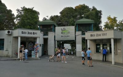 Még rengeteg kérdés övezi a belgrádi állatkert költözését Sok még a tennivaló, a döntés nem végleges