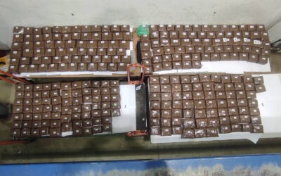 Több mint kétszázezer pszichoaktív tablettát akart átcsempészni Horgoson
