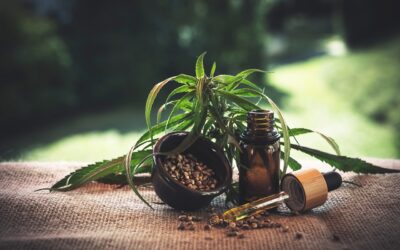 CBD olajat szeretnél, de nem tudod, hogyan válassz?