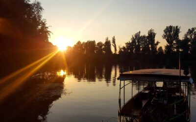 „A Tisza? Minden, ami az élethez nélkülözhetetlen”