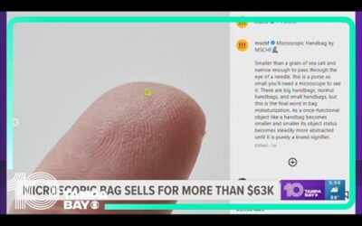 Sószemnél is kisebb táskát adtak el 63 ezer dollárért