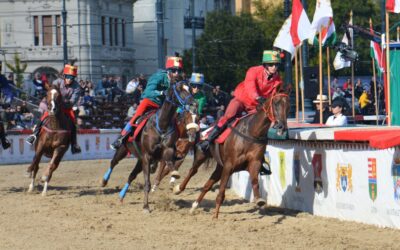 Fantázia olyan, mint egy Ferrari Temerint képviseli, de az óbecsei ménesben egy óbecsei edzővel készül a Nemzeti Vágtára Fantázia, amely eddig kétszer nyerte meg ezt a versenyt