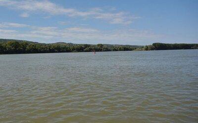 A víz minősége megfelelő Palánkánál