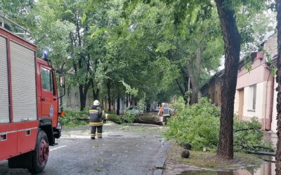 Kicsavart fák, leszakadt vezetékek, árvíz a központban és a parkban (képek)