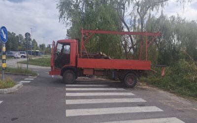 Elkezdte kivágni a város fáit, majd miután az intézkedő rendőr elment, elvitte amit addig kivágott (Fotók+Videó)