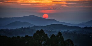 A Nyungwe Nemzeti Park Afrika legnagyobb hegyi erdője (Fotó: Wikipedia)