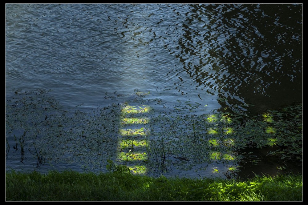 Németh György: Tisza