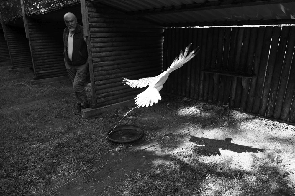 Reviczky Zsolt: Röpte