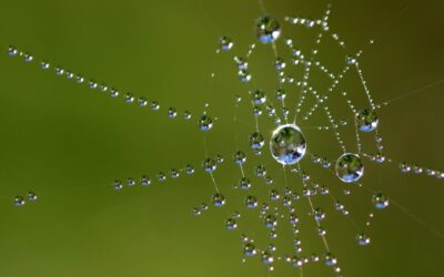 A levegőből is lehetne vizet facsarni